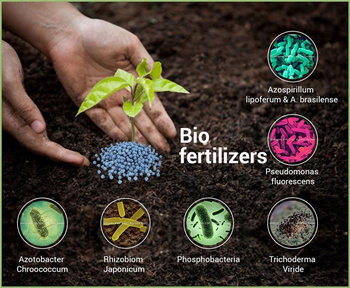 کودهای بیولوژیک